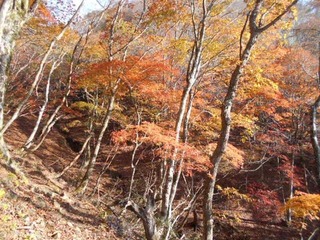 DSCN1260.JPG