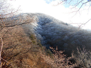 DSCN1374.JPG