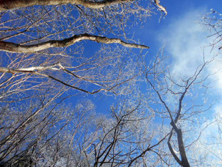 DSCN1378.JPG