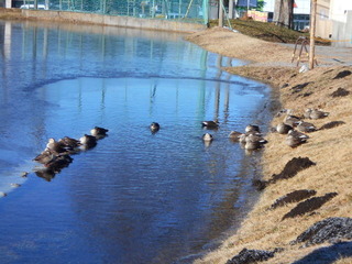 DSCN1468.JPG