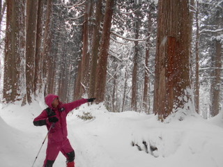 DSCN1508.JPG