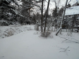 DSCN1593.JPG