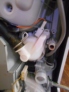 DSCN1632.JPG