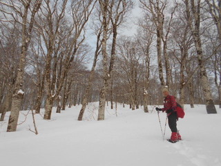 DSCN1654.JPG