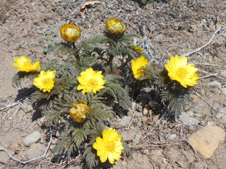 DSCN1712.JPG