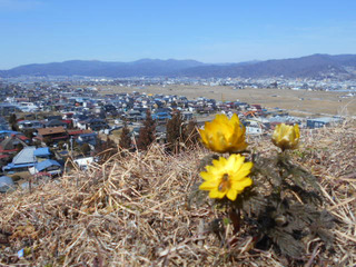DSCN1724.JPG