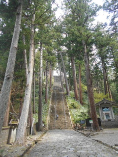 DSCN1905.JPG