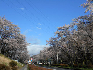 DSCN1943.JPG