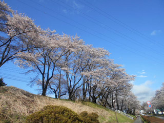 DSCN1947.JPG