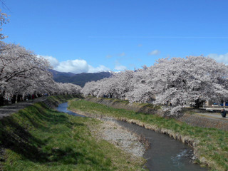 DSCN1951.JPG