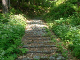 DSCN2042.JPG