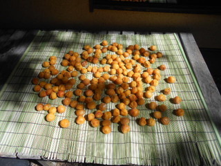 DSCN2164.JPG