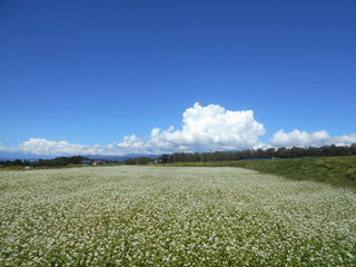 DSCN2196.JPG