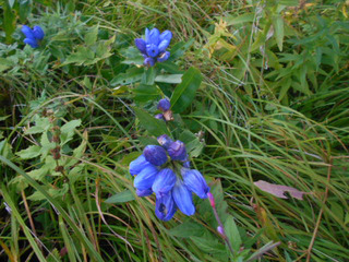 DSCN2228.JPG