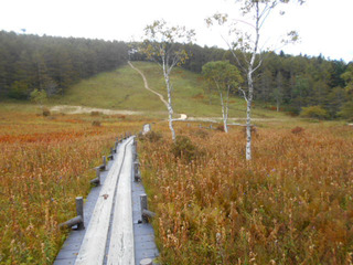 DSCN2234.JPG