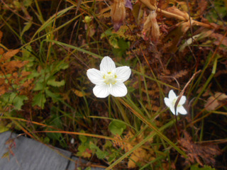 DSCN2235.JPG