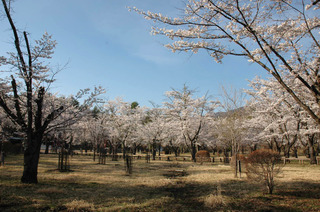 DSC_0014.JPG