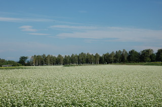 DSC_0085.JPG