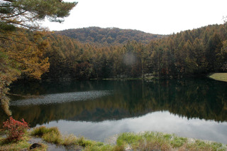 DSC_0095.JPG