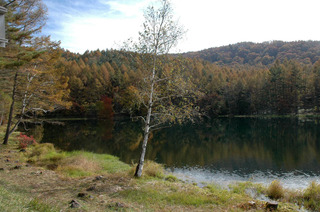 DSC_0102.JPG