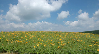 DSC_0151.JPG