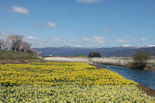 DSC_0237.JPG