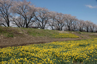 DSC_0240.JPG