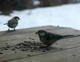 DSC_1107.JPG