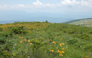 DSC_1149.JPG