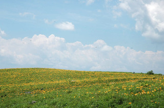 DSC_1160.JPG