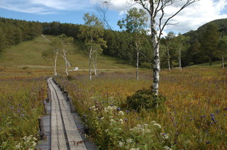 DSC_1180.JPG
