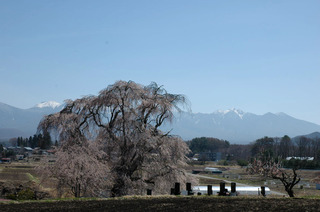 DSC_1326.JPG