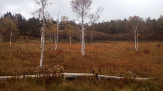 IMG_20181010_150052.jpg