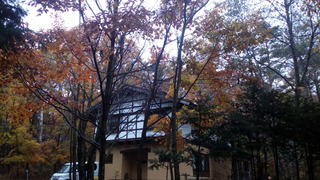 IMG_20181106_074836.jpg