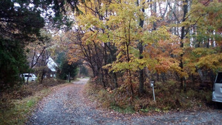 IMG_20181106_074928.jpg