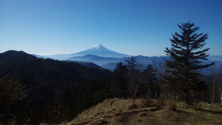 IMG_20181125_094711.jpg