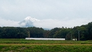IMG_20201018_121702_954.jpg