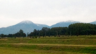 IMG_20201018_121707_374.jpg